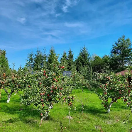 Nad Jeziorem Lejlighed Osetno