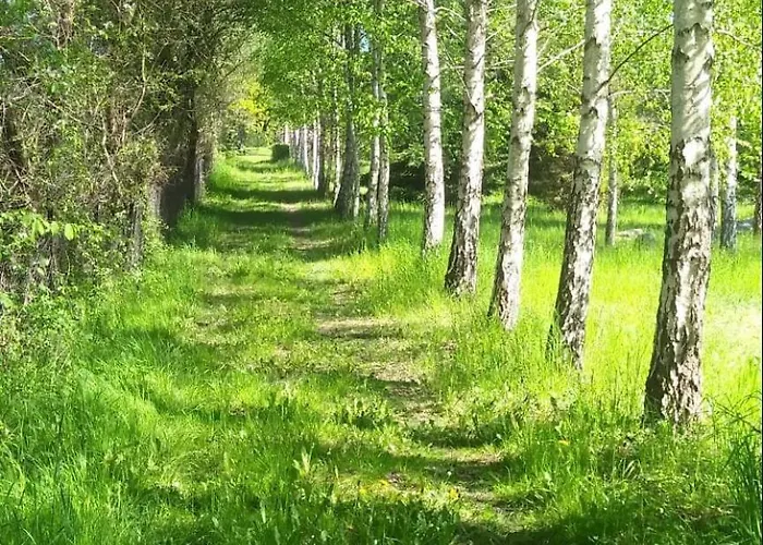 Nad Jeziorem شقة *